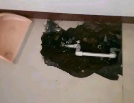 桐城卫生间测漏水多少钱